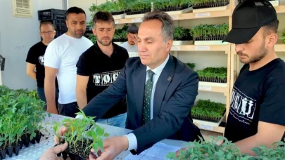 TOGÜ'de üretilen 1 milyon fide satışa sunuldu
