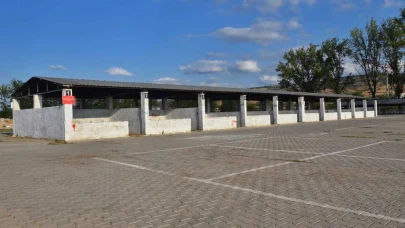 Kurban Bayramı yaklaşırken Yenişehir Hayvan Pazarı kapıtıldı