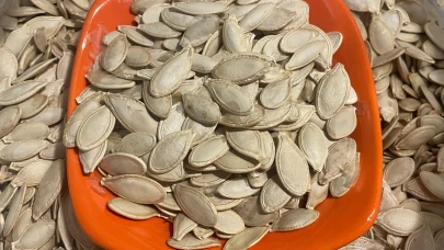 Kabak çekirdeğine "salmonella"; zencefile "bacillus cereus" nasıl bulaşıyor?
