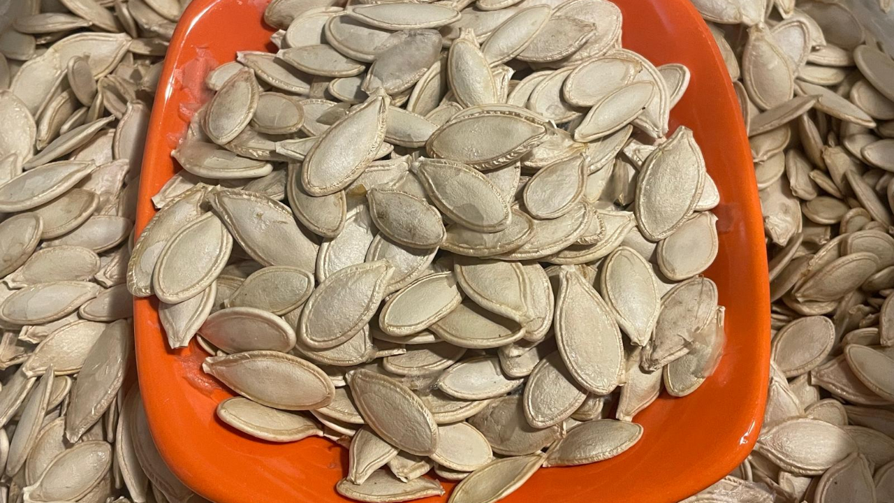 Kabak çekirdeğine "salmonella"; zencefile "bacillus cereus" nasıl bulaşıyor?