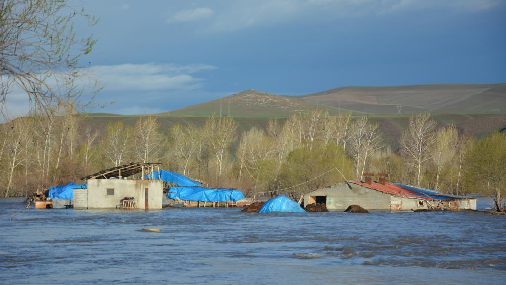 Erzincan'da sağanak tarım alanlarını su altında bıraktı