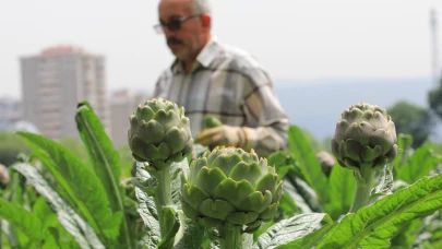 Şubatta sıraya girenler göbeğini alabildi