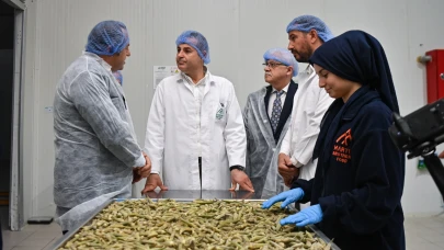 Balıkesir'de planlı tarım bamya üretimini artırdı