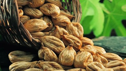 Aflatoksinli incirden enerji üretimi İspanya'da ödül getirdi