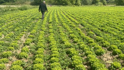 Tarım arazilerinden emlak vergisi alınmasın talebi