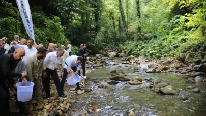 45 milyon 815 bin alabalık doğal ortama salındı