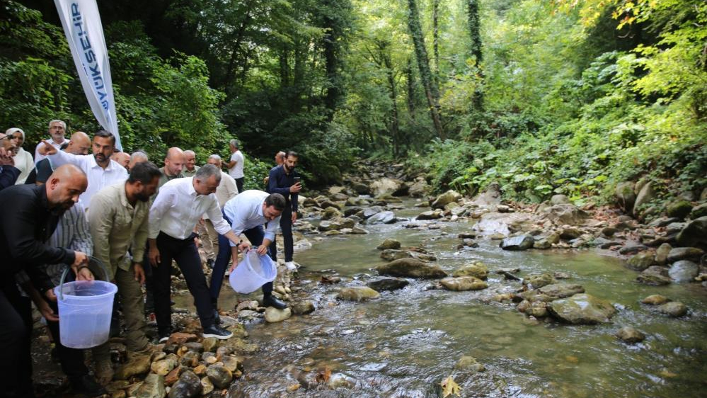 45 milyon 815 bin alabalık doğal ortama salındı