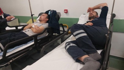 225 işçiyi "magnolia" zehirlemiş