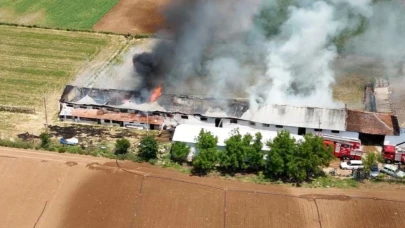 Bursa'da hayvan çiftliğindeki yangın korkuttu