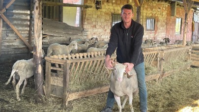 Kurbanlıkları satıp düğün masraflarını çıkarmayı hedefliyor