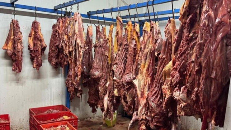 Adana'da bozulmuş 3 ton at eti ele geçirildi