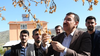 Zirai don destek ödemeleri bayramdan sonra başlıyor