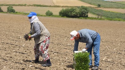 BASKİ'nin sulama desteği, Manyas Ovası'nda verimi artıracak