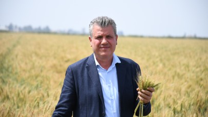 CHP'li Barut: "Maliyetler katlanıyor çiftçi kazanamıyor"