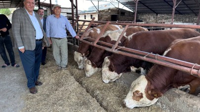 CHP'li Gürer: "Hayvan ithalatında 3 aylıkta tarihi rekor"