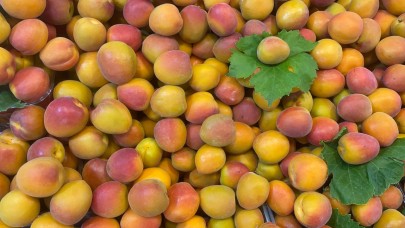 Fiyatının düştüğüne bakmayın fırsat varken tüketin