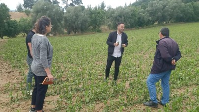 Muğla Büyükşehir'den doludan zarar gören çiftçilere destek