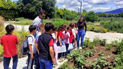 BAÇEM, öğrencilere bitkilerin dünyasını anlattı