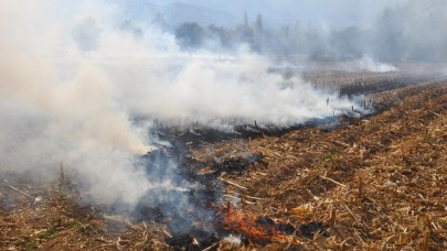 Edirneli genç çiftçilerden anız yangını uyarısı