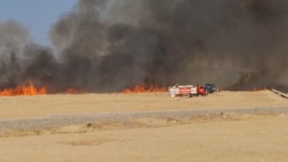 Araban Ovası'nda 50 dönüm makarnalık buğday kül oldu