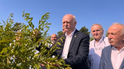 TZOB Başkanı Bayraktar: ""Gecikmiş destek destek değildir"