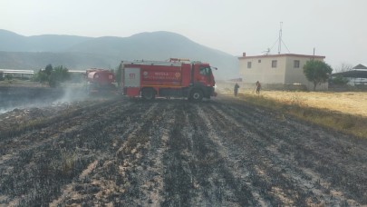 Muğla'da 380 anız ve ekin yangınına müdahale edildi