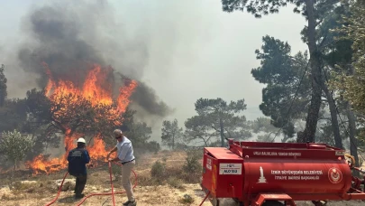 Karaburun'da orman yangını