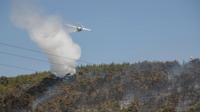 Kaynakla başlayıp ormanı yakan yangın kontrol altında