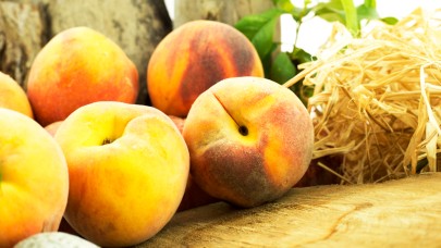 Bursa şeftalisi sezona dalında 50 lirayla başladı