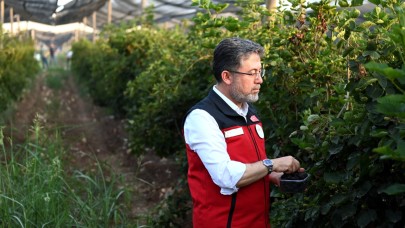 Bakan Yumaklı: Don zararıyla ilgili çalışma bu hafta bitiyor