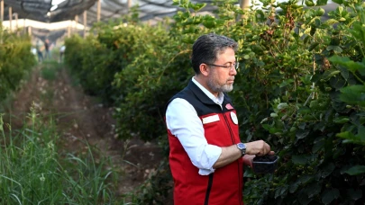 Bakan Yumaklı: Don zararıyla ilgili çalışma bu hafta bitiyor