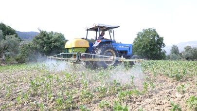 Muğla'da dolu zararının yaraları sarılıyor