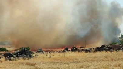 Mardin ve Şanlıurfa'da buğday ekili arazilerde yangın