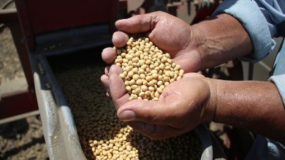 ABD EPA biyodizel üretim hedefini 2,51 milyar galon artırdı