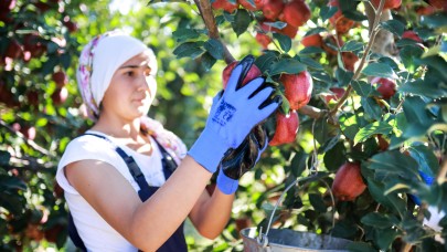 Tarımda üretici enflasyonu yüzde 29 oldu