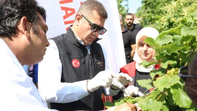 Düzce'de 20 bin samuray arısı doğaya salındı