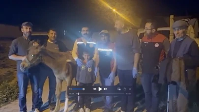 Küçük çiftçinin tayı Yumaklı'nın talimatıyla tedavi edildi