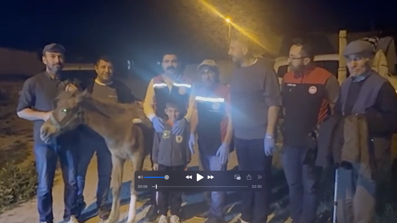 Küçük çiftçinin tayı Yumaklı'nın talimatıyla tedavi edildi