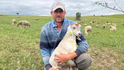 Edirneli besiciye göre keçinin maliyeti sıfıra yakın