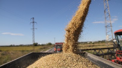 Edirneli çeltik üreticileri susuzluk riskine rağmen ekecek