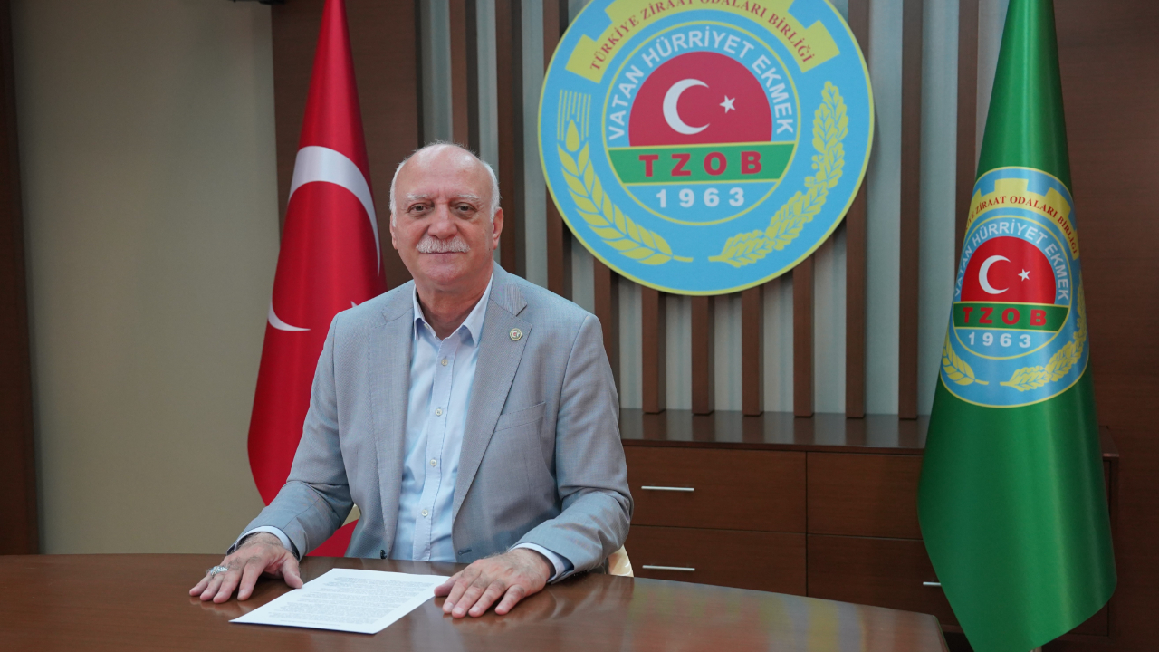Arpa tarlalarına biçerdöver yerine hayvanlar sokuluyor