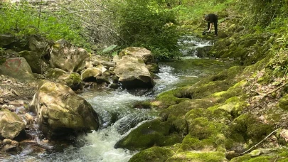 Samanlı Dağı'nın gizli hazinesi: Sansarak Kanyonu