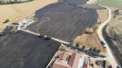 Tekirdağ'da 100 dönüm ekili alan yandı