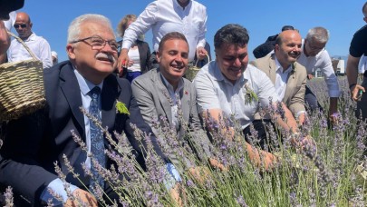 "Türkiye'nin en şifalı festivali", Balıkesir'de yapılacak