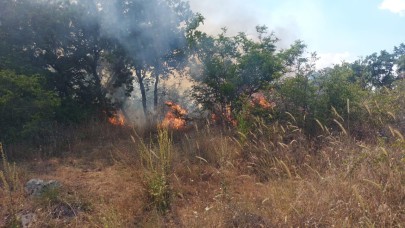 Lalapaşa’da orman yangını çıktı.