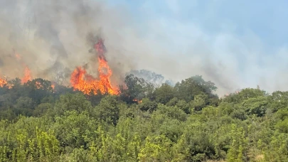 Bursa'da orman yangınına müdahale ediliyor