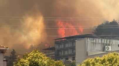 Bursa Osmangazi'deki orman yangını kontrol altına alınıyor