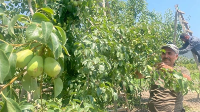 Armut kış aylarında cep yakacak