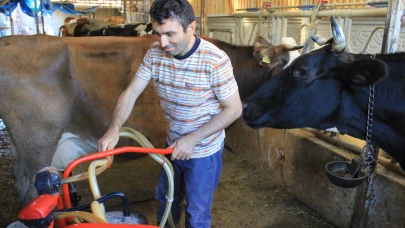 DMM'den İklim Kanunu teklifine ilişkin açıklama