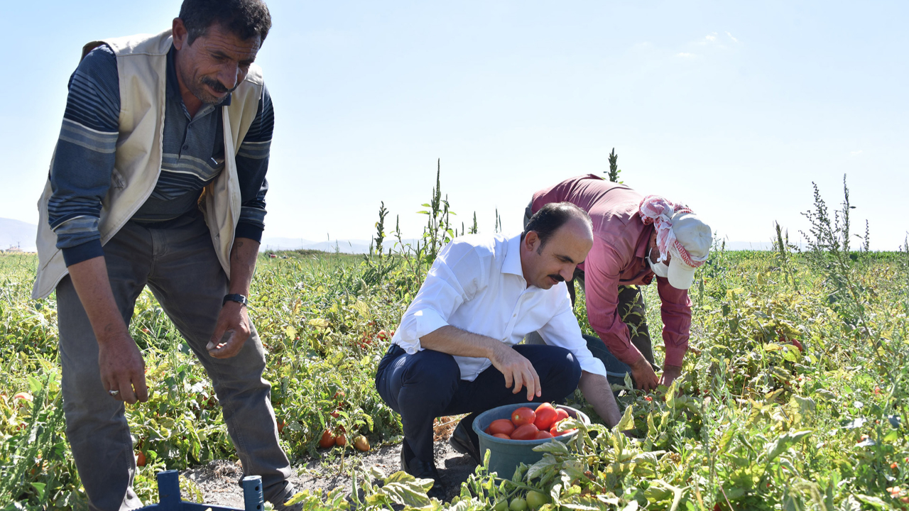 Konya Büyükşehir'in tarımsal destek başvuruları başladı